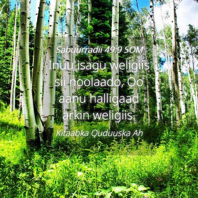 Picture 04 - Sabuurradii 49:9 SOM - Inuu isagu weligiis sii noolaado, Oo aanu - Bible Verse Picture