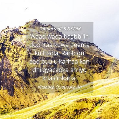 Picture 04 - Sabuurradii 5:6 SOM - Waad wada baabbi'in doontaa kuwa beenta ku hadla, - Bible Verse Picture