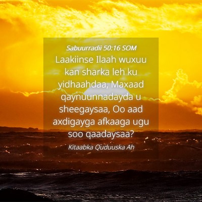 Picture 04 - Sabuurradii 50:16 SOM - Laakiinse Ilaah wuxuu kan sharka leh ku - Bible Verse Picture