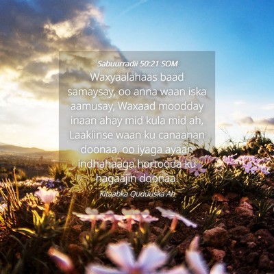 Picture 04 - Sabuurradii 50:21 SOM - Waxyaalahaas baad samaysay, oo anna waan iska - Bible Verse Picture