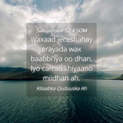 Picture 04 - Sabuurradii 52:4 SOM - Waxaad jeceshahay erayada wax baabbi'iya oo dhan, - Bible Verse Picture