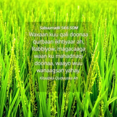 Picture 04 - Sabuurradii 54:6 SOM - Waxaan kuu qali doonaa qurbaan ikhtiyaar ah, - Bible Verse Picture