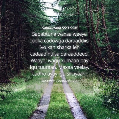 Picture 04 - Sabuurradii 55:3 SOM - Sababtuna waxaa weeye codka cadowga daraaddiis, - Bible Verse Picture