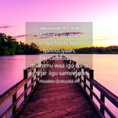 Picture 04 - Sabuurradii 56:5 SOM - Maalinta oo dhan erayadayda way qalloociyaan, - Bible Verse Picture
