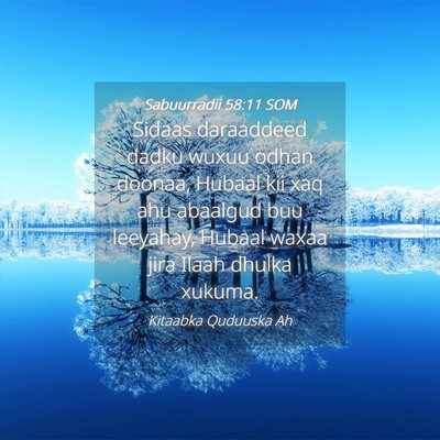 Picture 04 - Sabuurradii 58:11 SOM - Sidaas daraaddeed dadku wuxuu odhan doonaa, - Bible Verse Picture