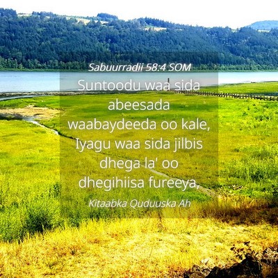 Picture 04 - Sabuurradii 58:4 SOM - Suntoodu waa sida abeesada waabaydeeda oo kale, - Bible Verse Picture