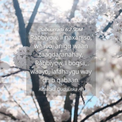 Picture 04 - Sabuurradii 6:2 SOM - Rabbiyow, ii naxariiso, waayo, anigu waan - Bible Verse Picture