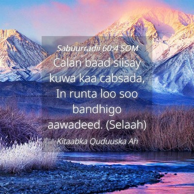 Picture 04 - Sabuurradii 60:4 SOM - Calan baad siisay kuwa kaa cabsada, In runta loo - Bible Verse Picture