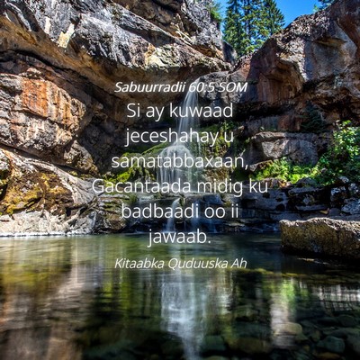 Picture 04 - Sabuurradii 60:5 SOM - Si ay kuwaad jeceshahay u samatabbaxaan, - Bible Verse Picture
