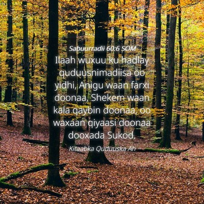 Picture 04 - Sabuurradii 60:6 SOM - Ilaah wuxuu ku hadlay quduusnimadiisa oo yidhi, - Bible Verse Picture