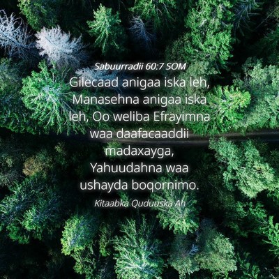 Picture 04 - Sabuurradii 60:7 SOM - Gilecaad anigaa iska leh, Manasehna anigaa iska - Bible Verse Picture