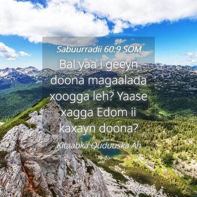 Picture 04 - Sabuurradii 60:9 SOM - Bal yaa i geeyn doona magaalada xoogga leh? Yaase - Bible Verse Picture