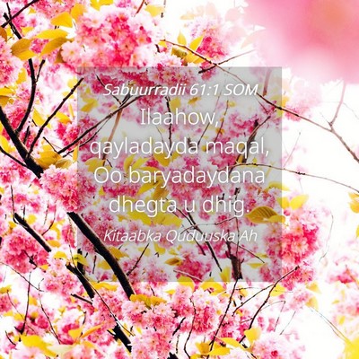 Picture 04 - Sabuurradii 61:1 SOM - Ilaahow, qayladayda maqal, Oo baryadaydana dhegta - Bible Verse Picture