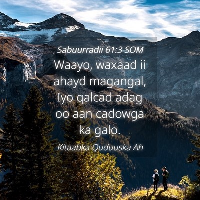 Picture 04 - Sabuurradii 61:3 SOM - Waayo, waxaad ii ahayd magangal, Iyo qalcad adag - Bible Verse Picture