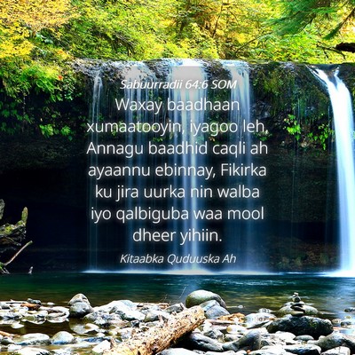 Picture 04 - Sabuurradii 64:6 SOM - Waxay baadhaan xumaatooyin, iyagoo leh, Annagu - Bible Verse Picture