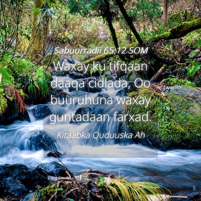 Picture 04 - Sabuurradii 65:12 SOM - Waxay ku tifqaan daaqa cidlada, Oo buuruhuna - Bible Verse Picture