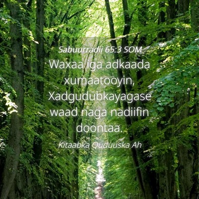 Picture 04 - Sabuurradii 65:3 SOM - Waxaa iga adkaada xumaatooyin, Xadgudubkayagase - Bible Verse Picture