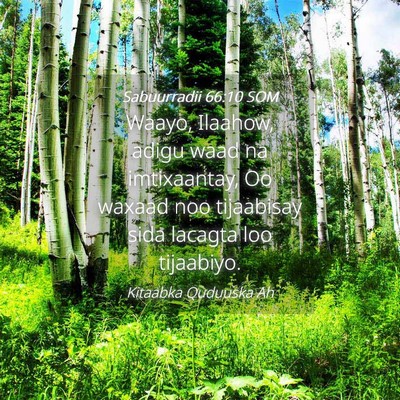 Picture 04 - Sabuurradii 66:10 SOM - Waayo, Ilaahow, adigu waad na imtixaantay, Oo - Bible Verse Picture