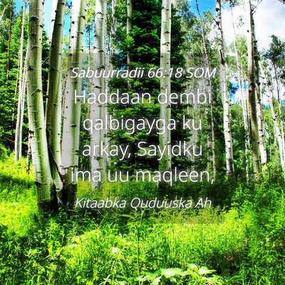Picture 04 - Sabuurradii 66:18 SOM - Haddaan dembi qalbigayga ku arkay, Sayidku ima uu - Bible Verse Picture