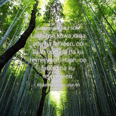 Picture 04 - Sabuurradii 68:3 SOM - Laakiinse kuwa xaqa ahu ha farxeen, oo Ilaah - Bible Verse Picture