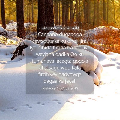 Picture 04 - Sabuurradii 68:30 SOM - Canaano dugaagga cawsduurka ku dhex jira, Iyo - Bible Verse Picture