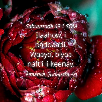 Picture 04 - Sabuurradii 69:1 SOM - Ilaahow, i badbaadi, Waayo, biyaa naftii ii - Bible Verse Picture