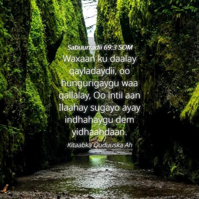 Picture 04 - Sabuurradii 69:3 SOM - Waxaan ku daalay qayladaydii, oo hungurigaygu waa - Bible Verse Picture