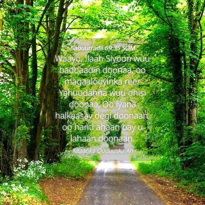 Picture 04 - Sabuurradii 69:35 SOM - Waayo, Ilaah Siyoon wuu badbaadin doonaa, oo - Bible Verse Picture