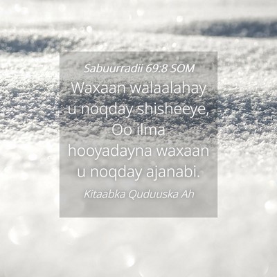 Picture 04 - Sabuurradii 69:8 SOM - Waxaan walaalahay u noqday shisheeye, Oo ilma - Bible Verse Picture