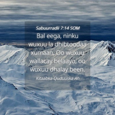 Picture 04 - Sabuurradii 7:14 SOM - Bal eega, ninku wuxuu la dhibtoodaa xumaan, Oo - Bible Verse Picture