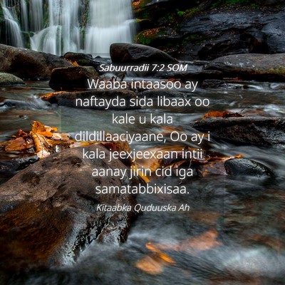 Picture 04 - Sabuurradii 7:2 SOM - Waaba intaasoo ay naftayda sida libaax oo kale u - Bible Verse Picture