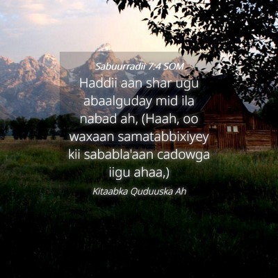 Picture 04 - Sabuurradii 7:4 SOM - Haddii aan shar ugu abaalguday mid ila nabad ah, - Bible Verse Picture