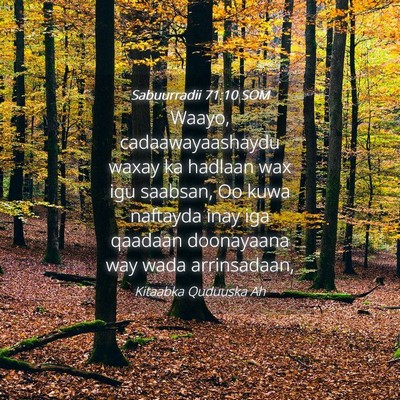Picture 04 - Sabuurradii 71:10 SOM - Waayo, cadaawayaashaydu waxay ka hadlaan wax igu - Bible Verse Picture