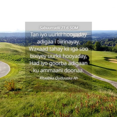 Picture 04 - Sabuurradii 71:6 SOM - Tan iyo uurkii hooyaday adigaa i tiirinayay, - Bible Verse Picture