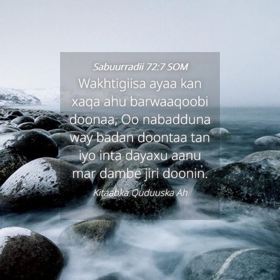 Picture 04 - Sabuurradii 72:7 SOM - Wakhtigiisa ayaa kan xaqa ahu barwaaqoobi doonaa, - Bible Verse Picture