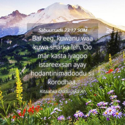 Picture 04 - Sabuurradii 73:12 SOM - Bal eeg, kuwanu waa kuwa sharka leh, Oo mar kasta - Bible Verse Picture