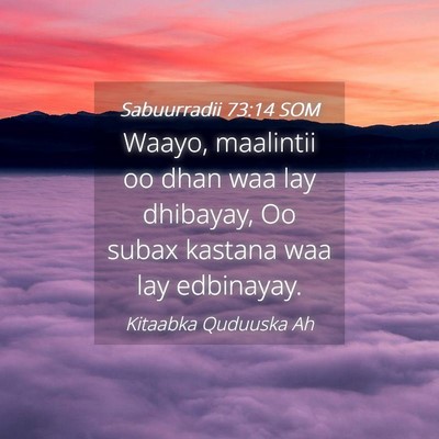 Picture 04 - Sabuurradii 73:14 SOM - Waayo, maalintii oo dhan waa lay dhibayay, Oo - Bible Verse Picture