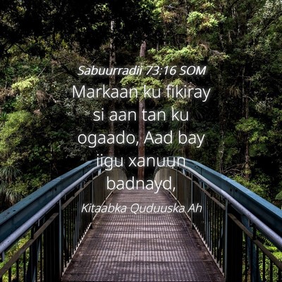 Picture 04 - Sabuurradii 73:16 SOM - Markaan ku fikiray si aan tan ku ogaado, Aad bay - Bible Verse Picture
