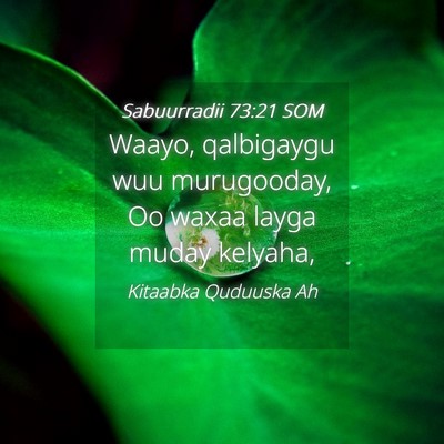Picture 04 - Sabuurradii 73:21 SOM - Waayo, qalbigaygu wuu murugooday, Oo waxaa layga - Bible Verse Picture