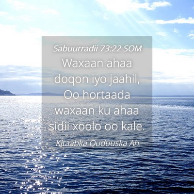 Picture 04 - Sabuurradii 73:22 SOM - Waxaan ahaa doqon iyo jaahil, Oo hortaada waxaan - Bible Verse Picture