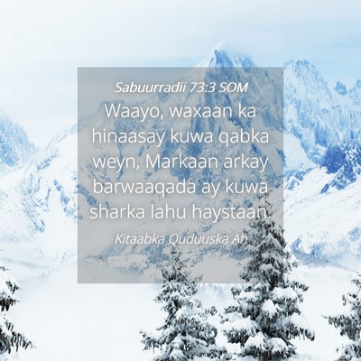 Picture 04 - Sabuurradii 73:3 SOM - Waayo, waxaan ka hinaasay kuwa qabka weyn, - Bible Verse Picture
