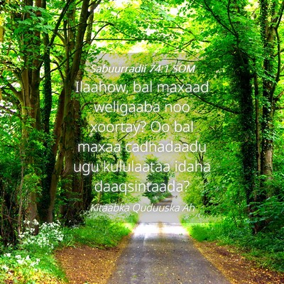 Picture 04 - Sabuurradii 74:1 SOM - Ilaahow, bal maxaad weligaaba noo xoortay? Oo bal - Bible Verse Picture