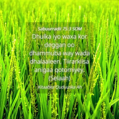 Picture 04 - Sabuurradii 75:3 SOM - Dhulka iyo waxa kor deggan oo dhammuba way wada - Bible Verse Picture