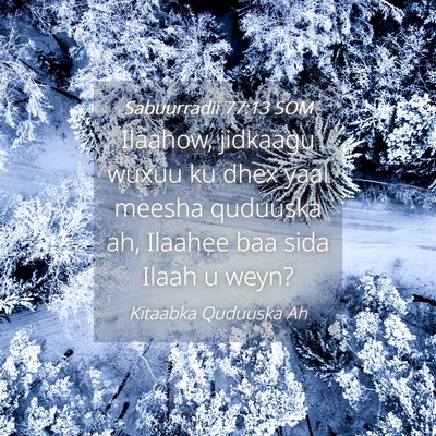 Picture 04 - Sabuurradii 77:13 SOM - Ilaahow, jidkaagu wuxuu ku dhex yaal meesha - Bible Verse Picture
