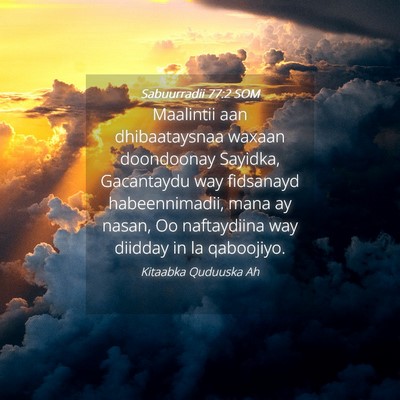 Picture 04 - Sabuurradii 77:2 SOM - Maalintii aan dhibaataysnaa waxaan doondoonay - Bible Verse Picture