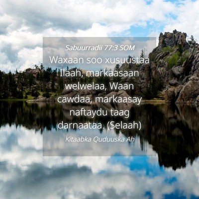 Picture 04 - Sabuurradii 77:3 SOM - Waxaan soo xusuustaa Ilaah, markaasaan welwelaa, - Bible Verse Picture
