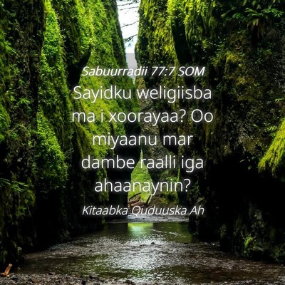 Picture 04 - Sabuurradii 77:7 SOM - Sayidku weligiisba ma i xoorayaa? Oo miyaanu mar - Bible Verse Picture