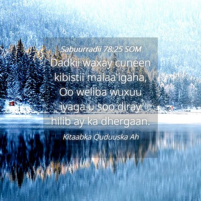 Picture 04 - Sabuurradii 78:25 SOM - Dadkii waxay cuneen kibistii malaa'igaha, Oo - Bible Verse Picture