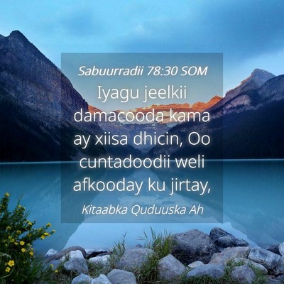 Picture 04 - Sabuurradii 78:30 SOM - Iyagu jeelkii damacooda kama ay xiisa dhicin, Oo - Bible Verse Picture