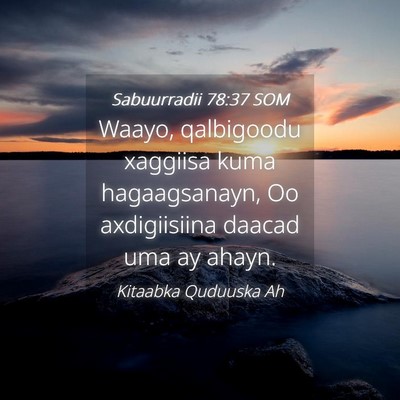 Picture 04 - Sabuurradii 78:37 SOM - Waayo, qalbigoodu xaggiisa kuma hagaagsanayn, Oo - Bible Verse Picture